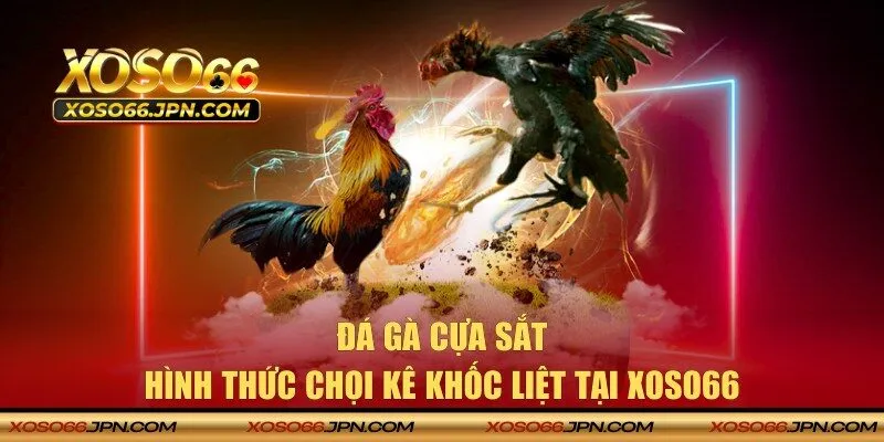 Đá gà cựa sắt