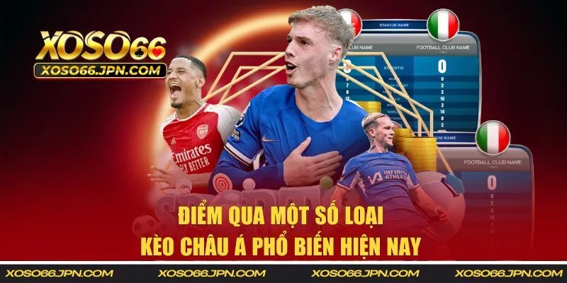 Điểm qua một số loại kèo châu Á phổ biến hiện nay 