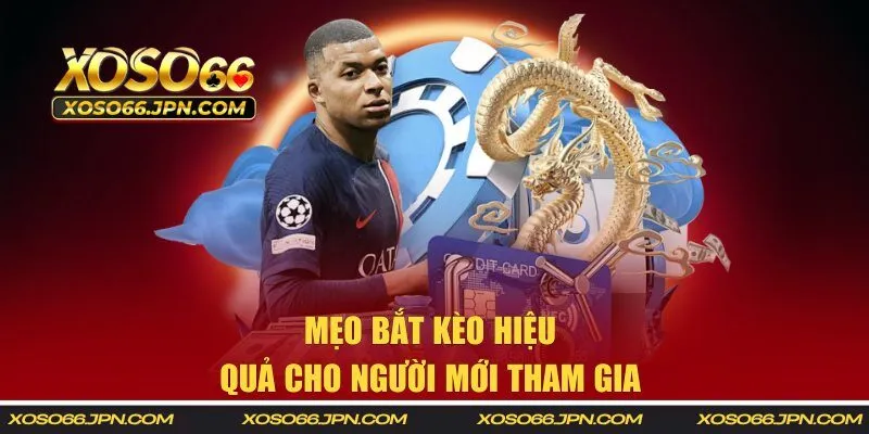 Mẹo bắt kèo hiệu quả cho người mới tham gia 