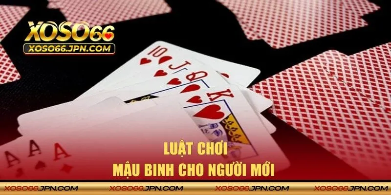 Luật chơi cho hội viên mới gia nhập