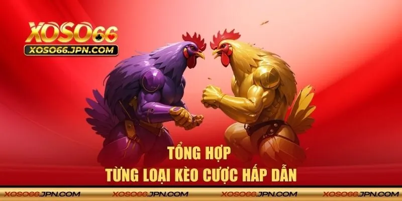 Tổng hợp từng loại kèo cược hấp dẫn