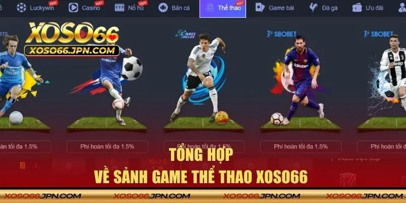 Tổng hợp về sảnh game thể thao XOSO66 